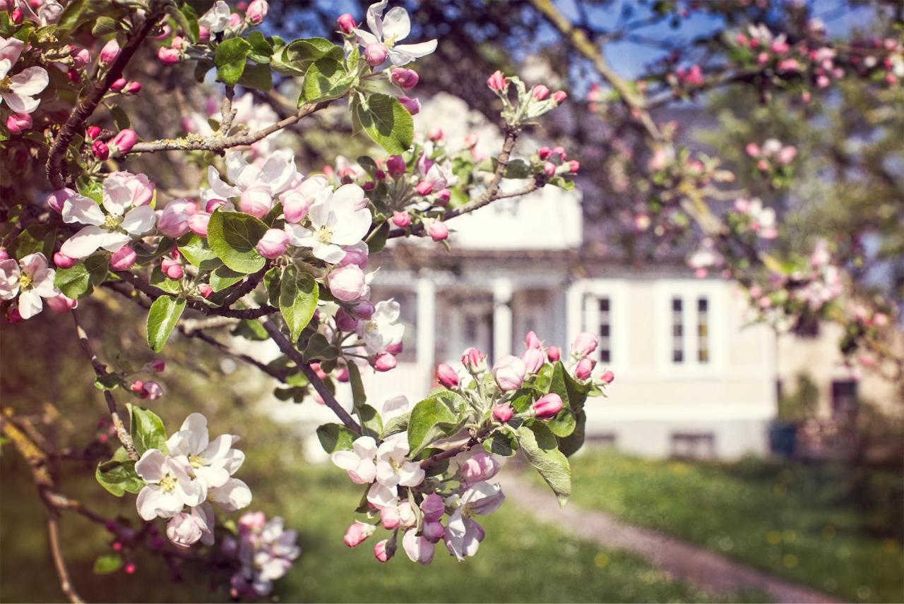 Three Pheasants Boutique Bed And Breakfast Ekeby  Экстерьер фото